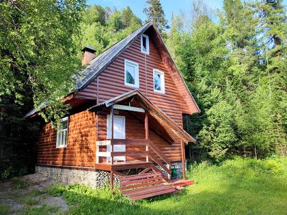 Металлический сайдинг Блок-хаус золотой дуб