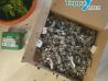 Комплект крепежа Terrapol