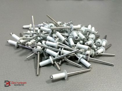 Заклепка вытяжная цвет RAL 9003 сигнально-белый